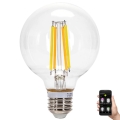 Lampadina LED dimmerabile FILAMENT MESH Smart G80 E27/6W/230V 2700-6500K - Aigostar