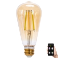 Lampadina LED dimmerabile FILAMENT MESH Smart ST64 E27/6W/230V 2700-6500K - Aigostar