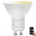 Lampadina LED dimmerabile GU10/6,5W/230V 2700-6500K - Aigostar