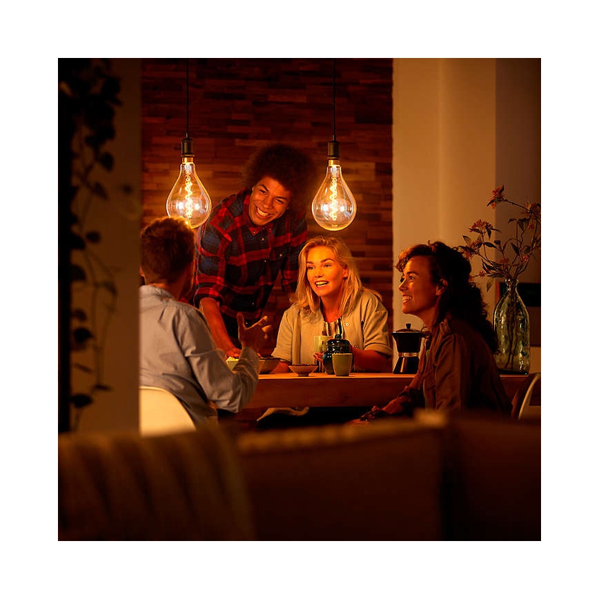 Lampadina LED dimmerabile VINTAGE DYI E27/4W/230V 2700K - Leuchten Direkt 0846