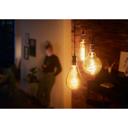 Lampadina LED dimmerabile VINTAGE Philips A160 E27/6,5W/230V 2000K