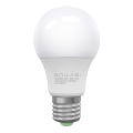 Lampadina LED ECOLINE A60 E27/10W/230V 3,000K - Brilagi