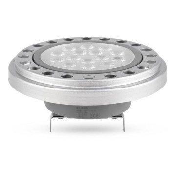 Lampadina LED ECOLINE AR111 G53/12W/12V 3000K 30° argento - Brilagi