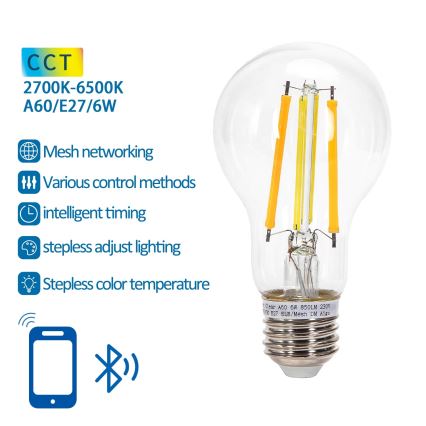 Lampadina LED dimmerabile FILAMENT MESH Smart A60 E27/6W/230V 2700-6500K - Aigostar