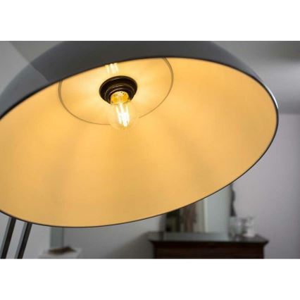 Lampadina LED FILAMENT A60 E27 LED/7W/230V 2700K