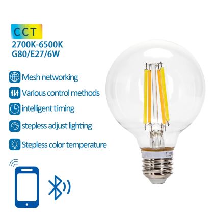 Lampadina LED dimmerabile FILAMENT MESH Smart G80 E27/6W/230V 2700-6500K - Aigostar
