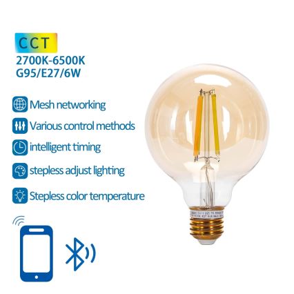 Lampadina LED dimmerabile FILAMENT MESH Smart G95 E27/6W/230V 2700-6500K - Aigostar