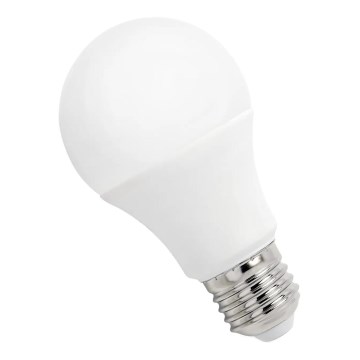 Lampadina LED GLS A60 E27/4,9W/230V 6000K