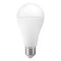 Lampadina LED GS E27/17W/230V 6500K