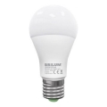 Lampadina LED LEDSTAR ECO A65 E27/20W/230V 3000K