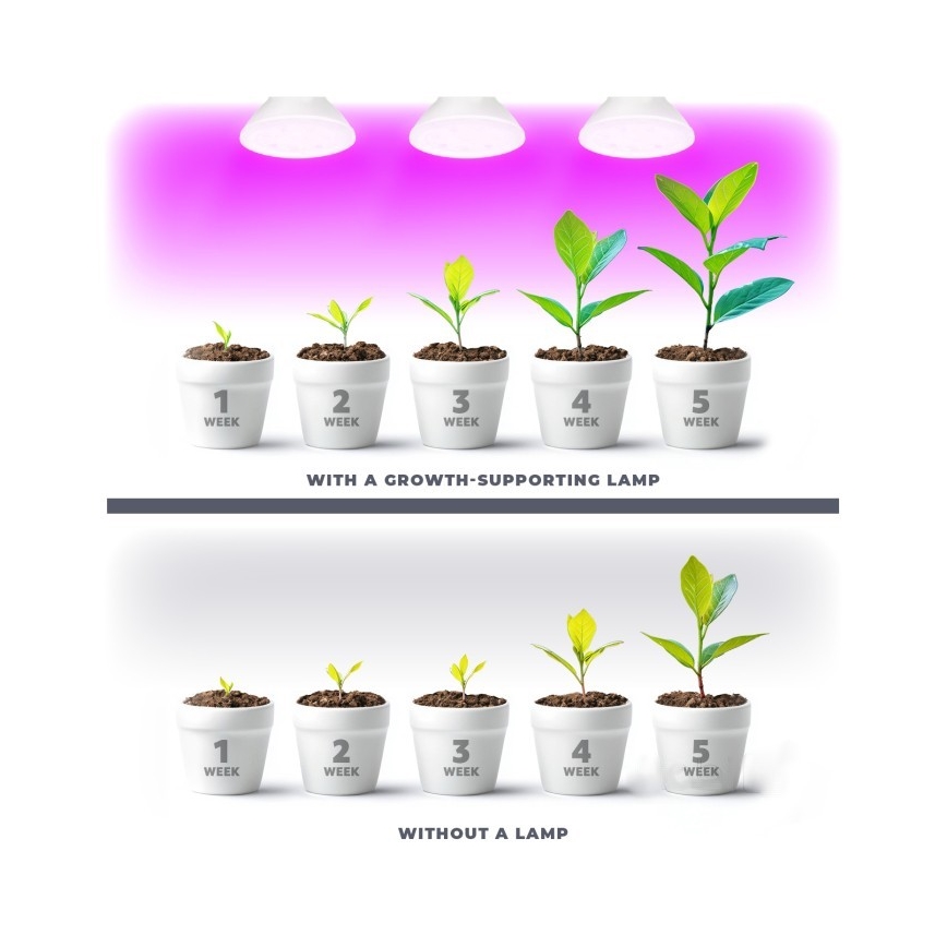 Lampadina LED per crescita piante PLANTY E27/7W/230V 1200K bianco