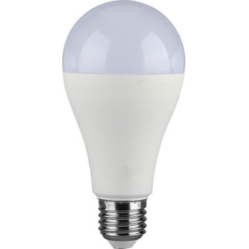 Lampadina LED SAMSUNG CHIP A65 E27/17W/230V 3000K