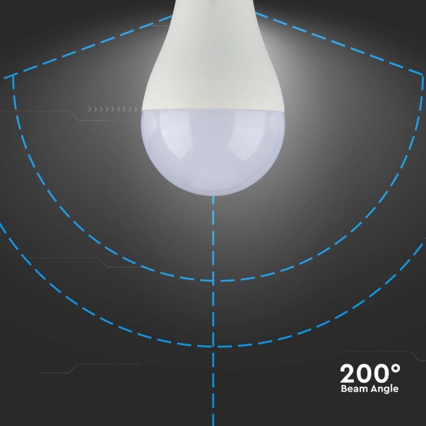 Lampadina LED SAMSUNG CHIP A65 E27/17W/230V 4000K