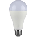 Lampadina LED SAMSUNG CHIP A65 E27/17W/230V 6500K