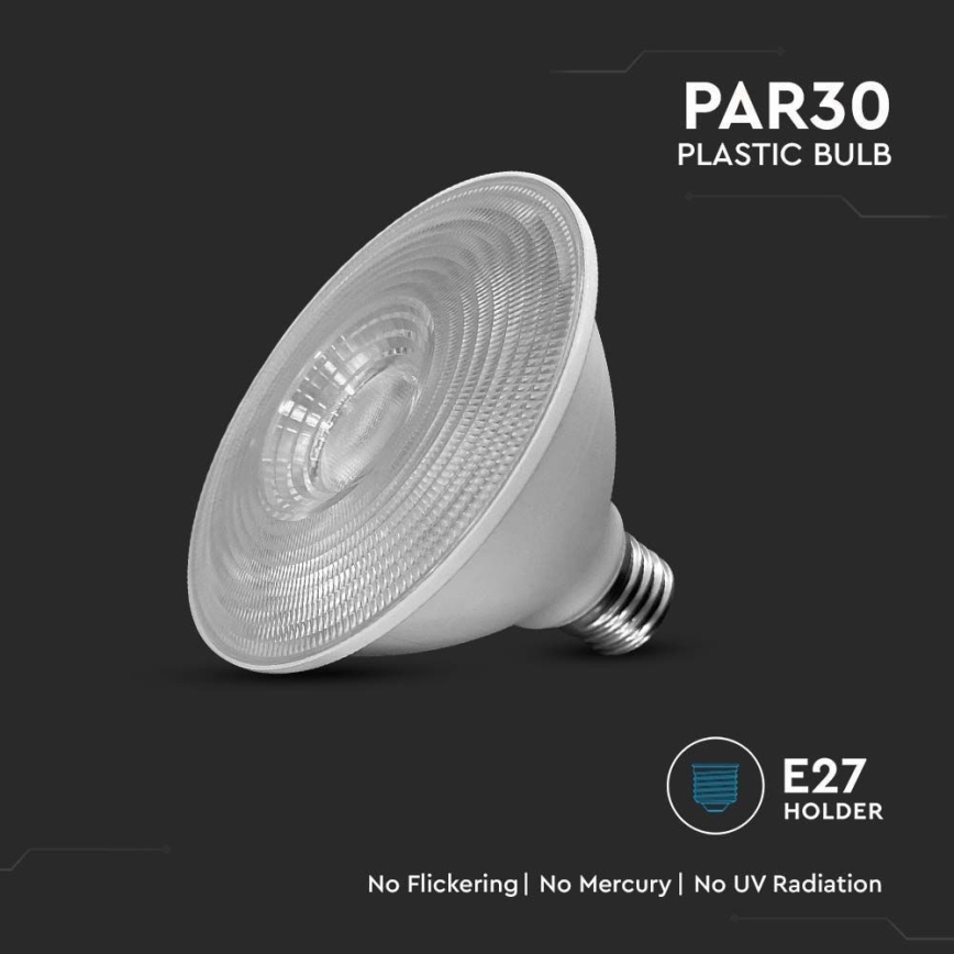 Lampadina LED SAMSUNG CHIP PAR30 E27/11W/230V 6500K