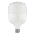 Lampadina LED T80 E27/20W/230V 6500K