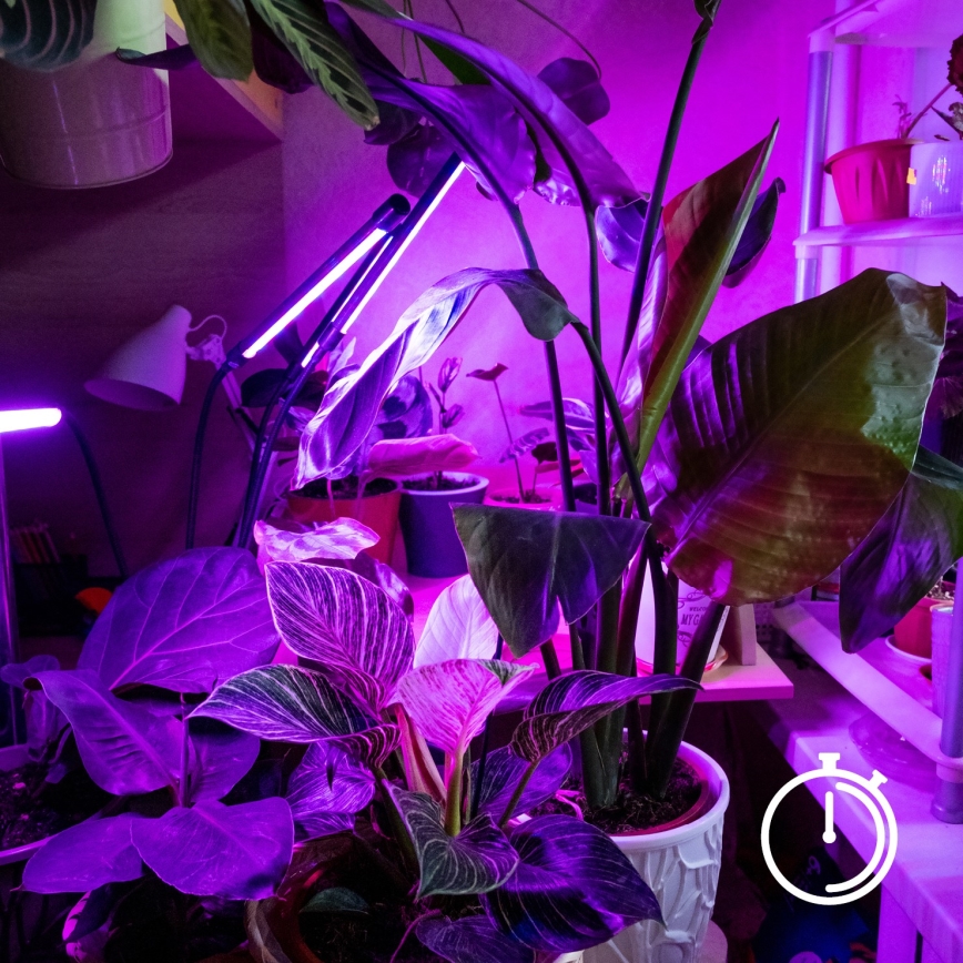 Lampe de table flexible à intensité variable avec pince pour la culture de plantes VITARO 3xLED/10W/230V noir