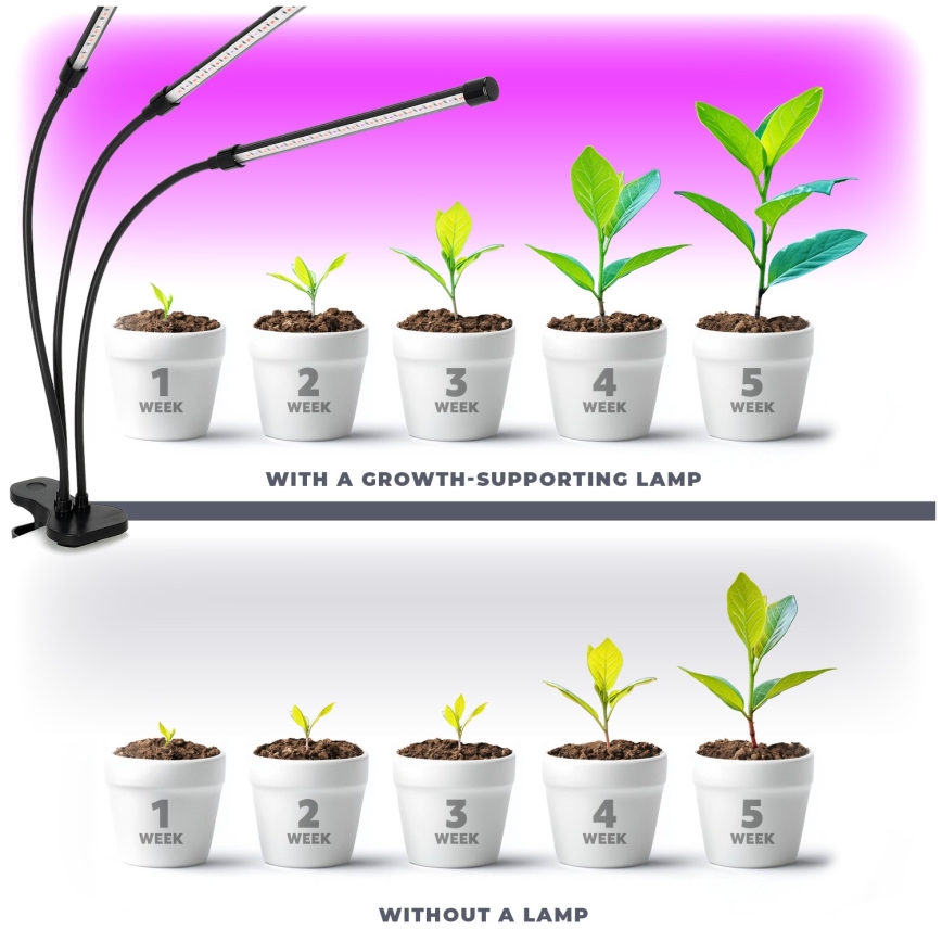 Lampe de table flexible à intensité variable avec pince pour la culture de plantes VITARO 3xLED/10W/230V noir