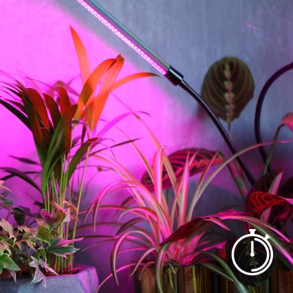 Lampe de table flexible à intensité variable avec pince pour la culture de plantes VITARO 4xLED/10W/230V noir