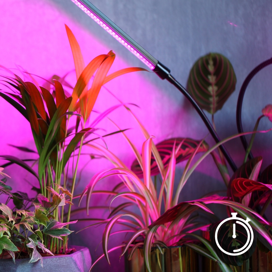 Lampe de table flexible à intensité variable avec pince pour la culture de plantes VITARO 4xLED/10W/230V noir