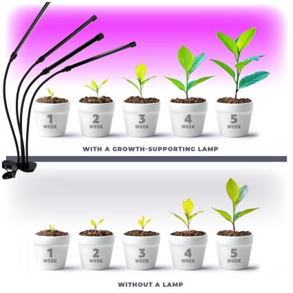 Lampe de table flexible à intensité variable avec pince pour la culture de plantes VITARO 4xLED/10W/230V noir