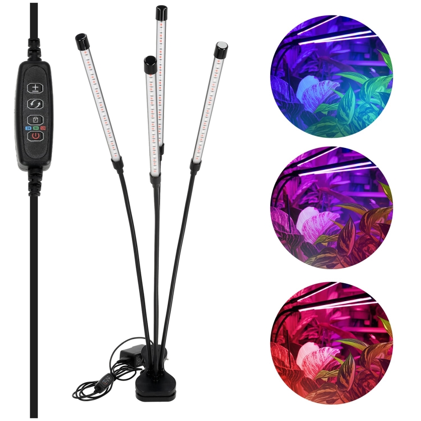 Lampe de table flexible à intensité variable avec pince pour la culture de plantes VITARO 4xLED/10W/230V noir