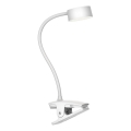 Lampe de bureau à LED dimmable tactile BELLA LED/4,8W/5V 3000-6500K blanche