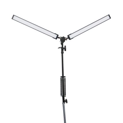 Lampe de bureau LED à pince 2xLED/10W/230V 2800-6800K