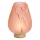 Lampe de bureau LED GINNY LED/2xAA rose