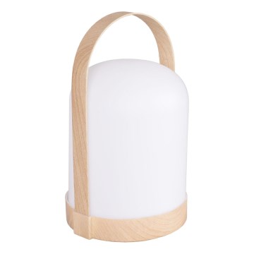 Lampe de table décorative LED RGBW MINORKA LED/0,3W/4,5V 3xAA