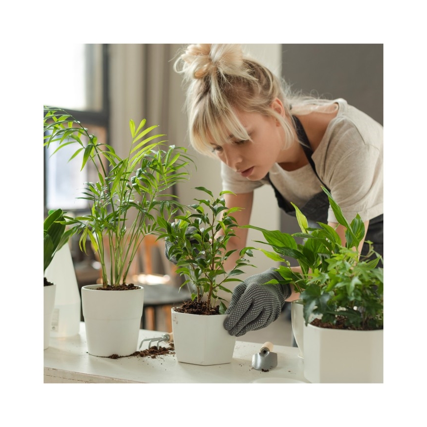 Lampe de table LED dimmable pour la culture des plantes VERDI LED/5W/5V 1300K IRC 95 blanche