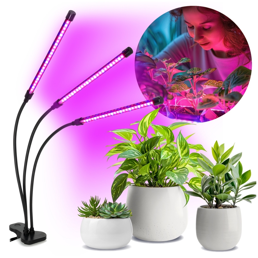 Lampe de table flexible à intensité variable avec pince pour la culture de plantes VITARO 3xLED/10W/230V noir