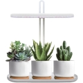 Lampe de table LED dimmable pour la culture des plantes VERDI LED/12W/230V 4500K IRC 95 blanche