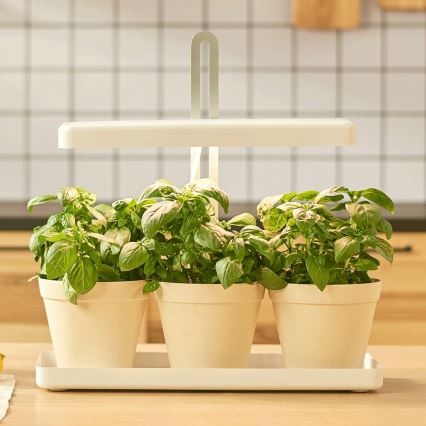 Lampe d'intérieur pour la culture de plantes LED/20W/5V 3500K