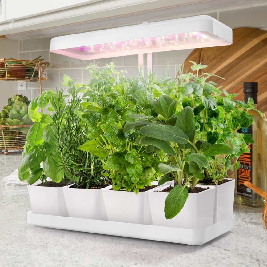 Lampe d'intérieur pour la culture de plantes LED/20W/5V 3500K