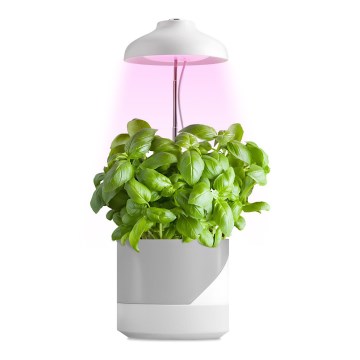 Lampe d'intérieur pour la culture de plantes LED/5W/5V 3200K
