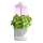 Lampe d'intérieur pour la culture de plantes LED/5W/5V 3200K