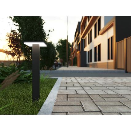 Lampe extérieure avec détecteur BARI LED/10W/230V 4000K 60 cm IP54 anthracite