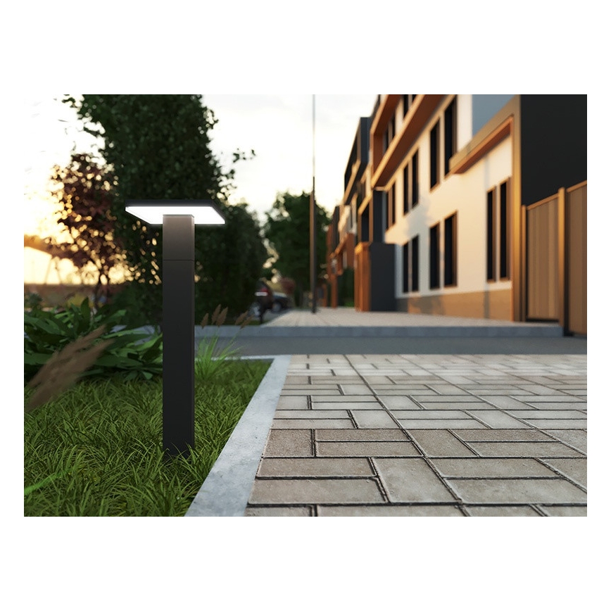 Lampe extérieure avec détecteur BARI LED/10W/230V 4000K 60 cm IP54 anthracite