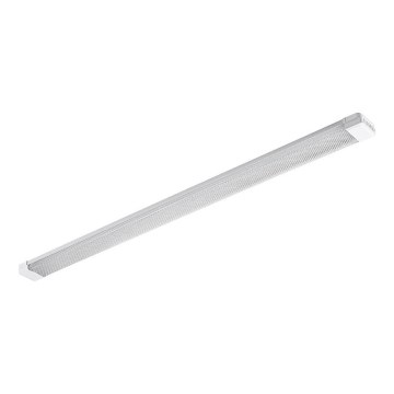 Lampe fluorescente LED/72W/230V 4000K 120 cm
