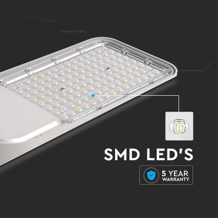 Lampe de rue LED SAMSUNG CHIP LED/100W/230V 6500K IP65 gris