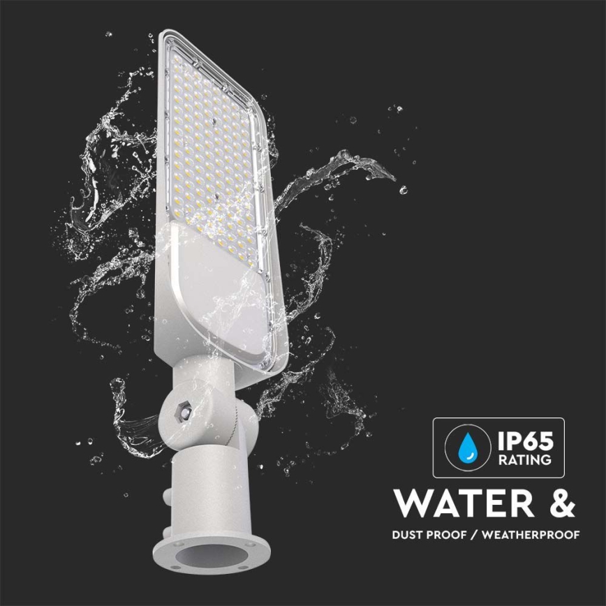 Lampe de rue LED SAMSUNG CHIP LED/100W/230V 6500K IP65 gris