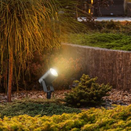 Lampe LED d'extérieur LED/10W/230V 3000K IP65