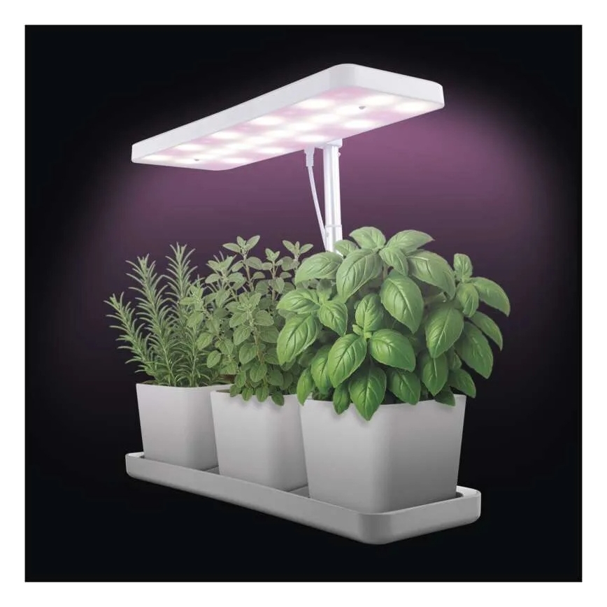 Lampe LED d'intérieur dimmable pour culture de plantes GROW LED/7W/5V