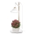 Lampe LED d'intérieur pour la culture des plantes GROW LED/7W/5V