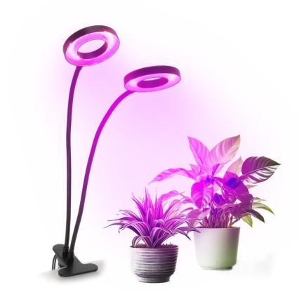 Lampe de bureau flexible à LED dimmable avec clip pour culture de plantes VITARO 2xLED/4W/230V noir