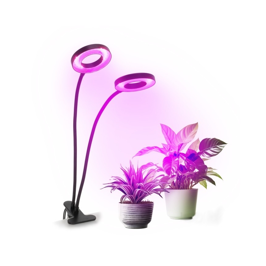 Lampe de bureau flexible à LED dimmable avec clip pour culture de plantes VITARO 2xLED/4W/230V noir