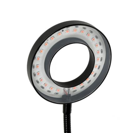 Lampe de bureau flexible à LED dimmable avec clip pour culture de plantes VITARO 2xLED/4W/230V noir