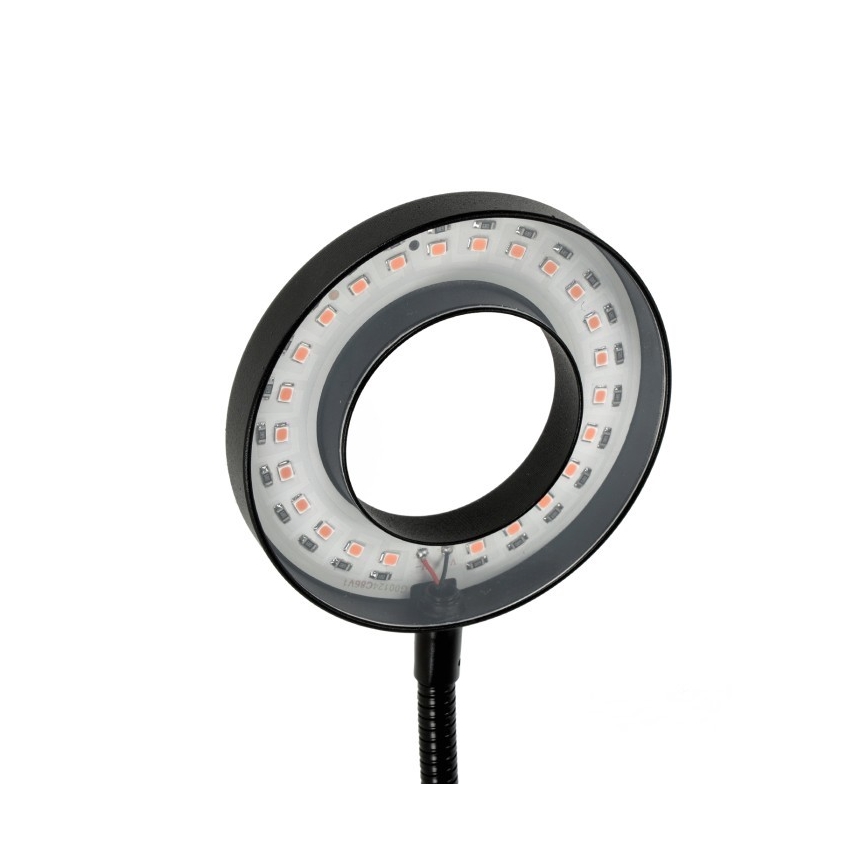 Lampe de bureau flexible à LED dimmable avec clip pour culture de plantes VITARO 2xLED/4W/230V noir
