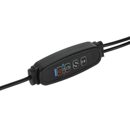 Lampe de bureau flexible à LED dimmable avec clip pour culture de plantes VITARO 2xLED/4W/230V noir